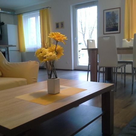 Rodinny Apartman Lucie V Blizkosti Wellness Hotelu Ve Frymburku ภายนอก รูปภาพ