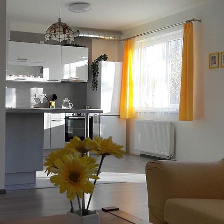 Rodinny Apartman Lucie V Blizkosti Wellness Hotelu Ve Frymburku ภายนอก รูปภาพ