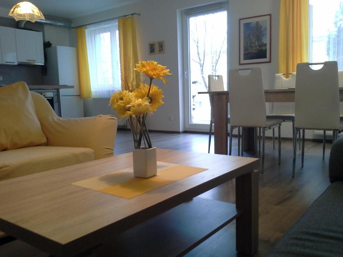 Rodinny Apartman Lucie V Blizkosti Wellness Hotelu Ve Frymburku ภายนอก รูปภาพ