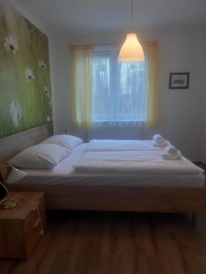 Rodinny Apartman Lucie V Blizkosti Wellness Hotelu Ve Frymburku ภายนอก รูปภาพ